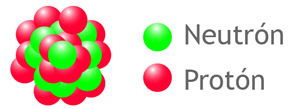 Neutrón y protón
